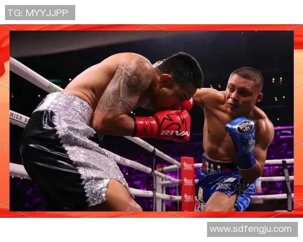 洛马琴科与萨利多的巅峰对决解析拳坛传奇的诞生与挑战